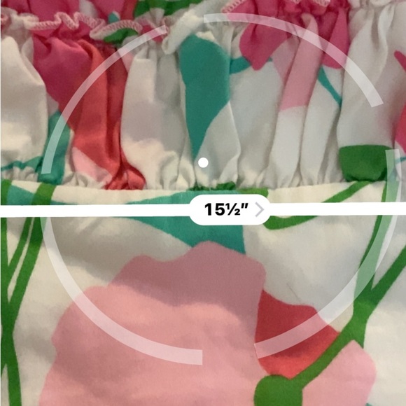 Lilly Pulitzer Franco Had Me A Blast Dress Small missing tags Easter - Picture 10 of 11